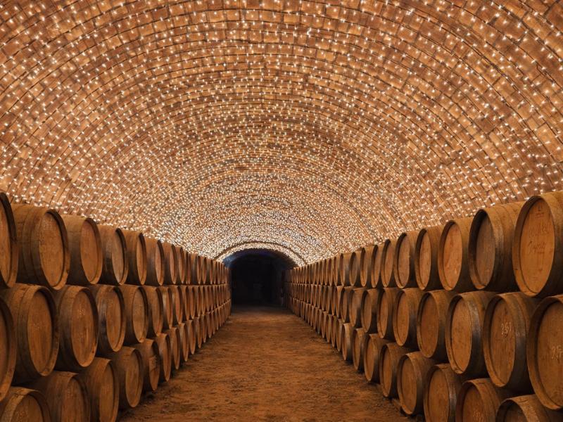 Best Private Tequila Pueblo Mágico Full-Day Tour