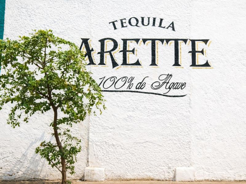 Exclusive Private Tequila Day Trip – Arette Distillery & Tasting