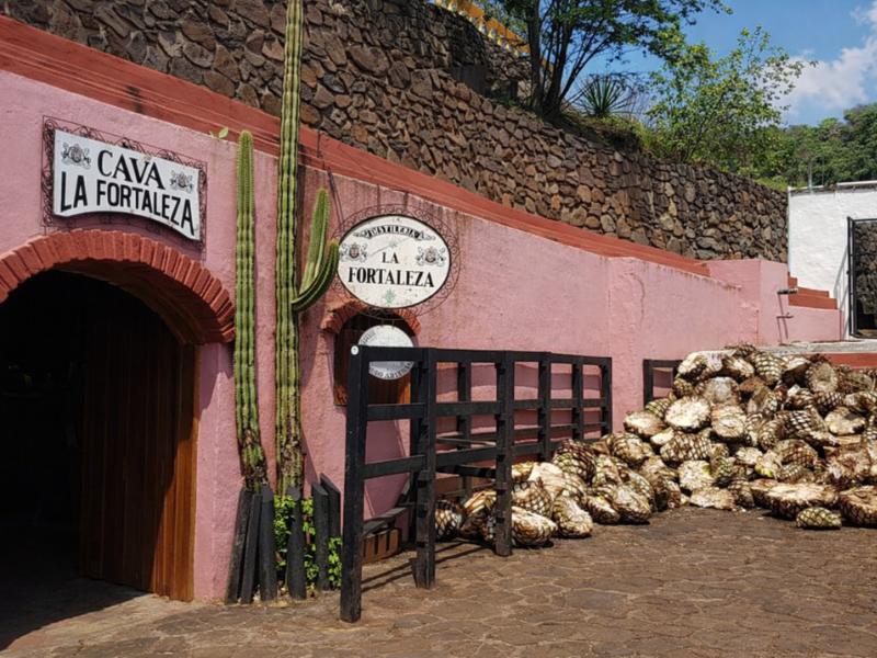 Fortaleza Tequila Distillery Tour & Tasting