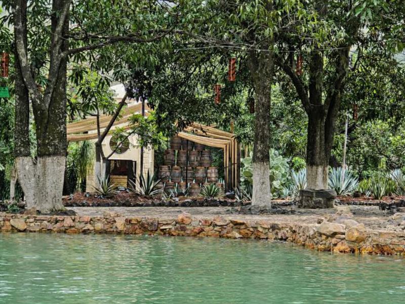 From Guadalajara: Tequila Tour with Tastings & Lunch