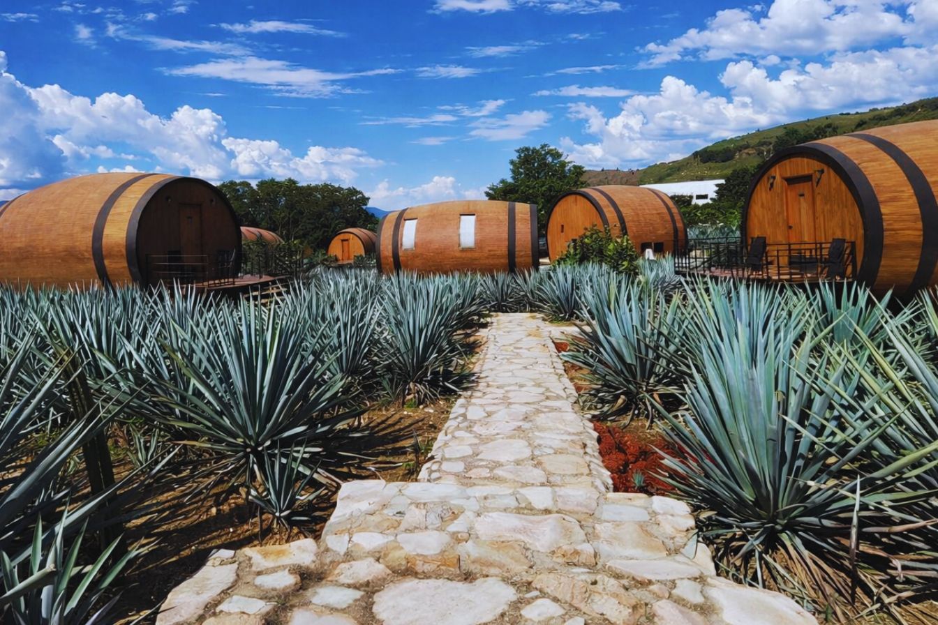Guadalajara Tequila Tours