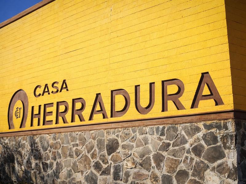 Hacienda Casa Herradura Tequila Tour from Guadalajara