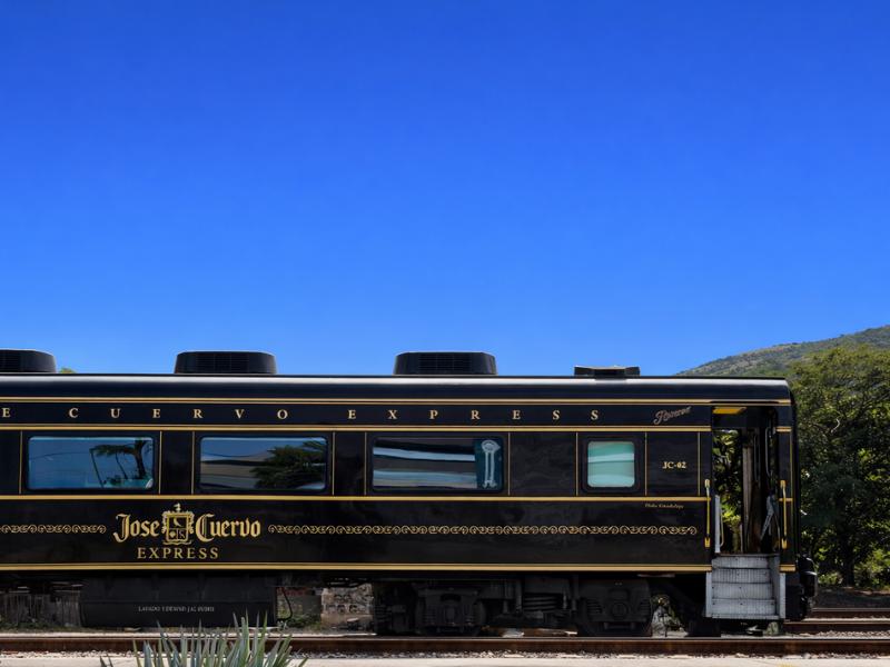 Tequila Day Trip from Guadalajara on Jose Cuervo Express Train