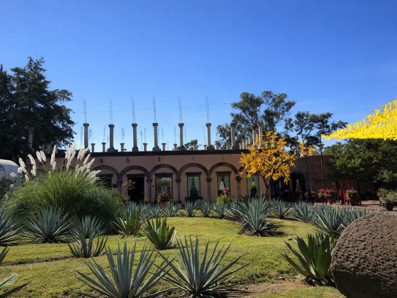 our team and mission at Guadalajara Tequila Tours